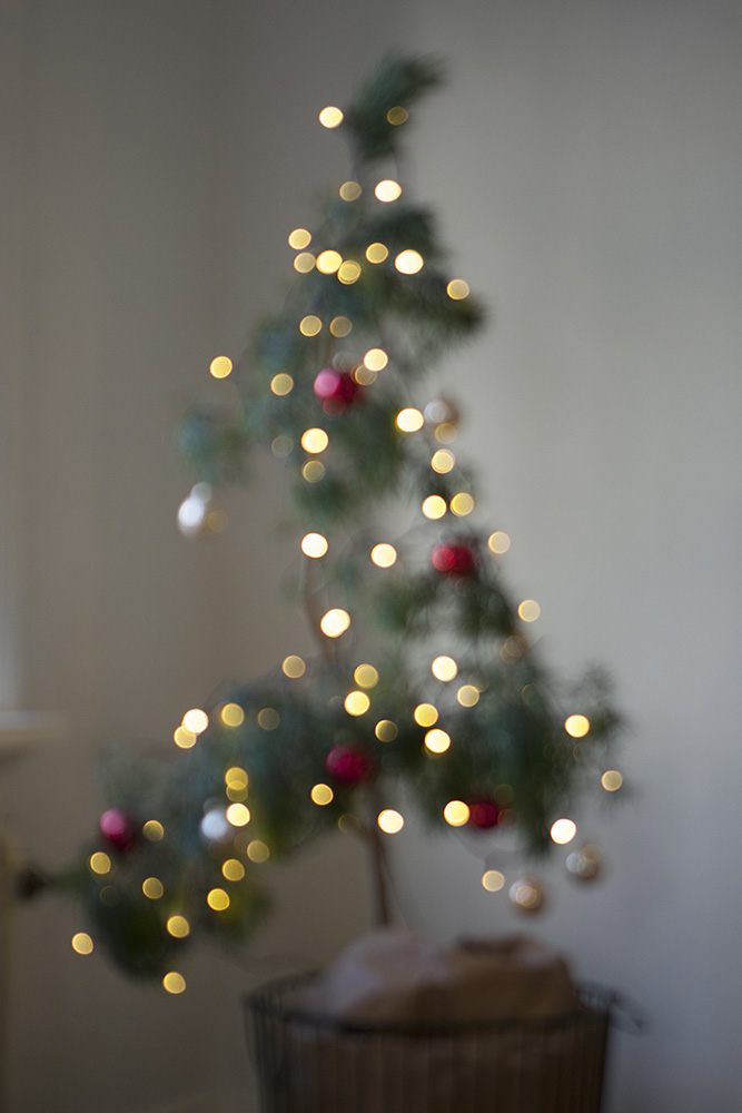 Jul, julen, julfint hemma, julpynt, juldekoration, nordisk jul, julgran, alternativ julgran, modern julgran