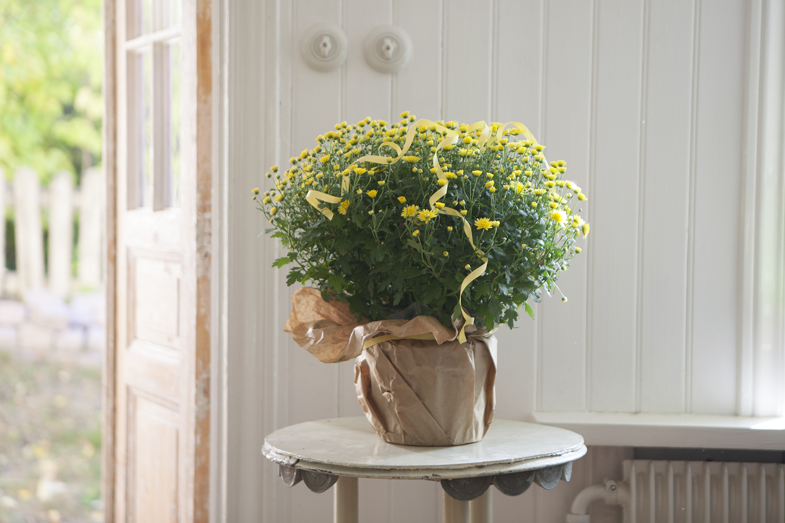 Amelies hus & trädgård, blogg om inredning, bakning, blommor ...
