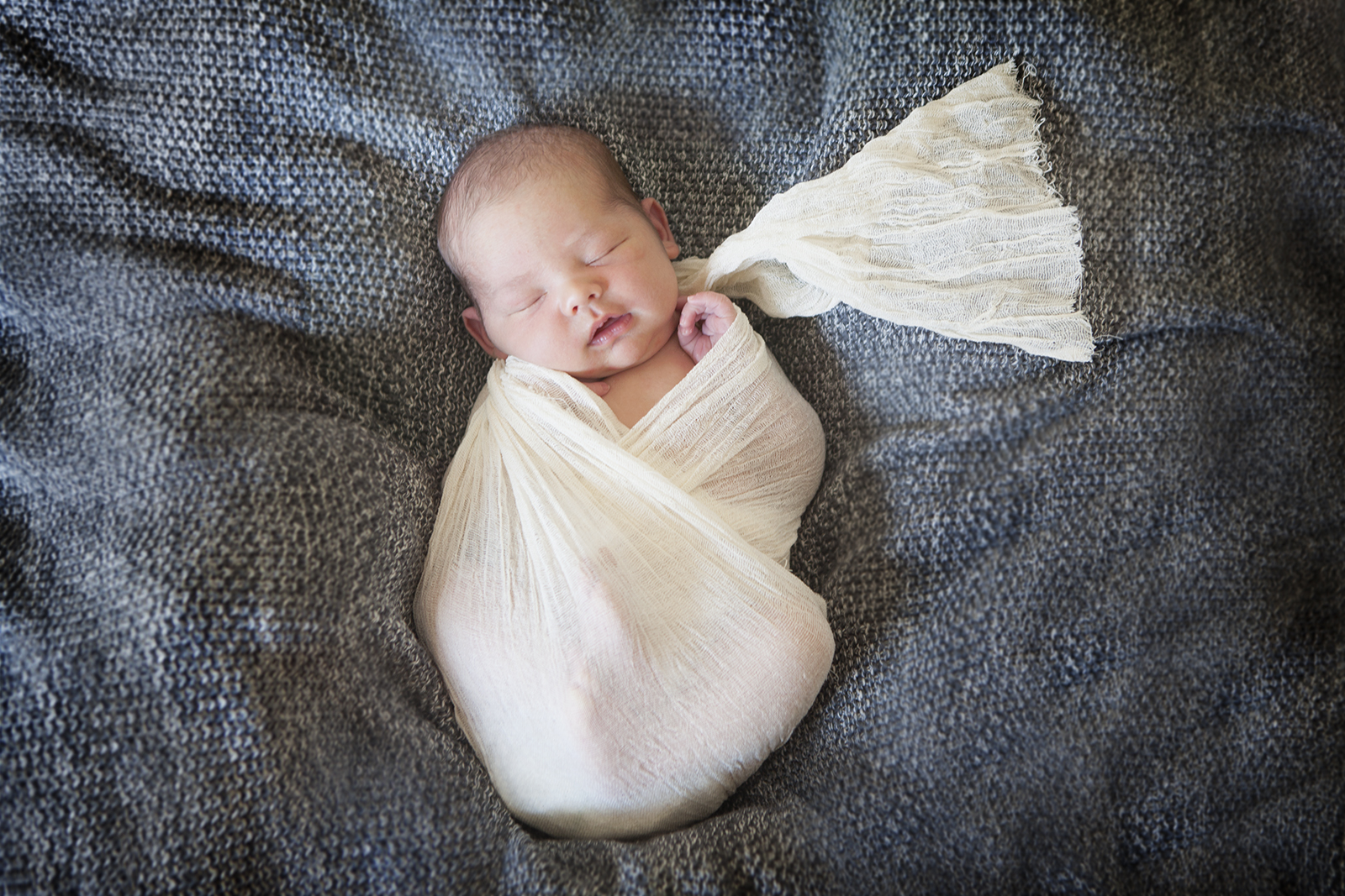Amelieshus, utgivare på amelie von essen