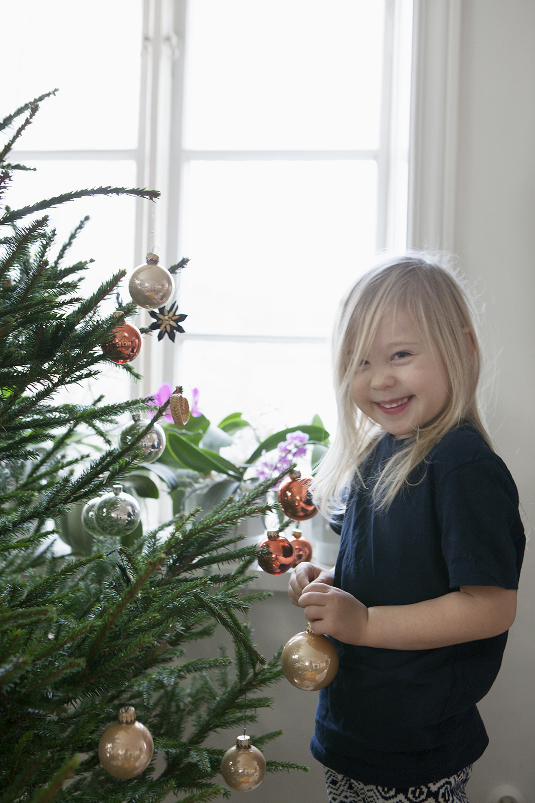 Julfint, jul nordisk skandinavisk traditionell julpynt juldekorationer snygga vackra fina amelies hus von essen julgran julgranen